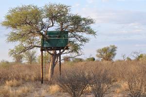 Jägerstand auf Outeniqua. NAMIBIA - www.outeniqua.de